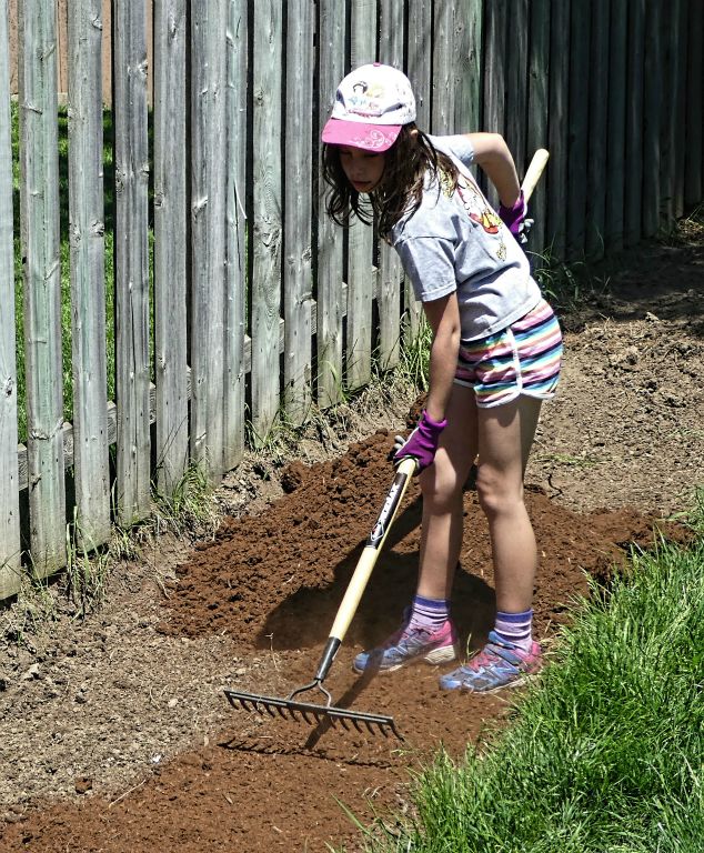 Getting the garden ready
