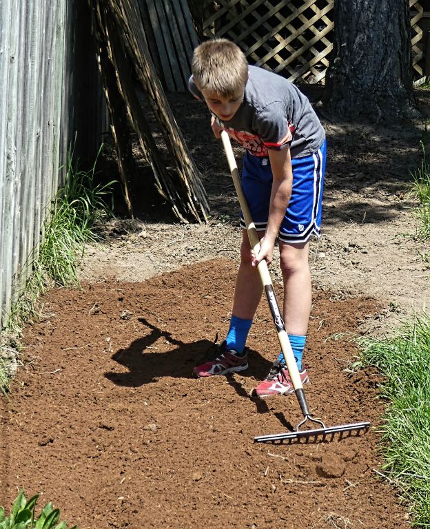 Getting the garden ready