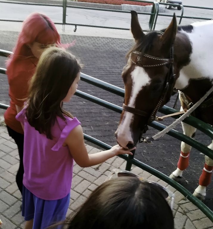 To win at the races, talk nicely to the horses ...